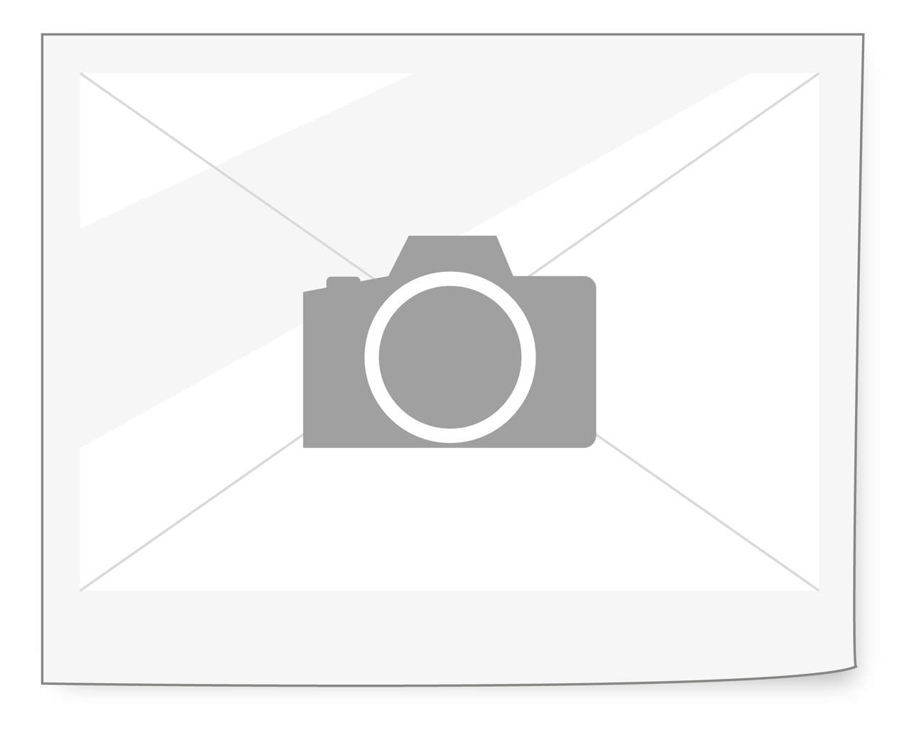 Byggepladshegn budget